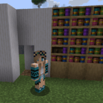 A Minecraft player standing in front of their open secret bookshelf redstone door, revealing a hidden room.