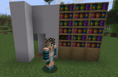 A Minecraft player standing in front of their open secret bookshelf redstone door, revealing a hidden room.