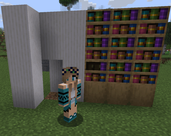 A Minecraft player standing in front of their open secret bookshelf redstone door, revealing a hidden room.