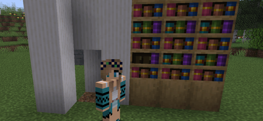 A Minecraft player standing in front of their open secret bookshelf redstone door, revealing a hidden room.